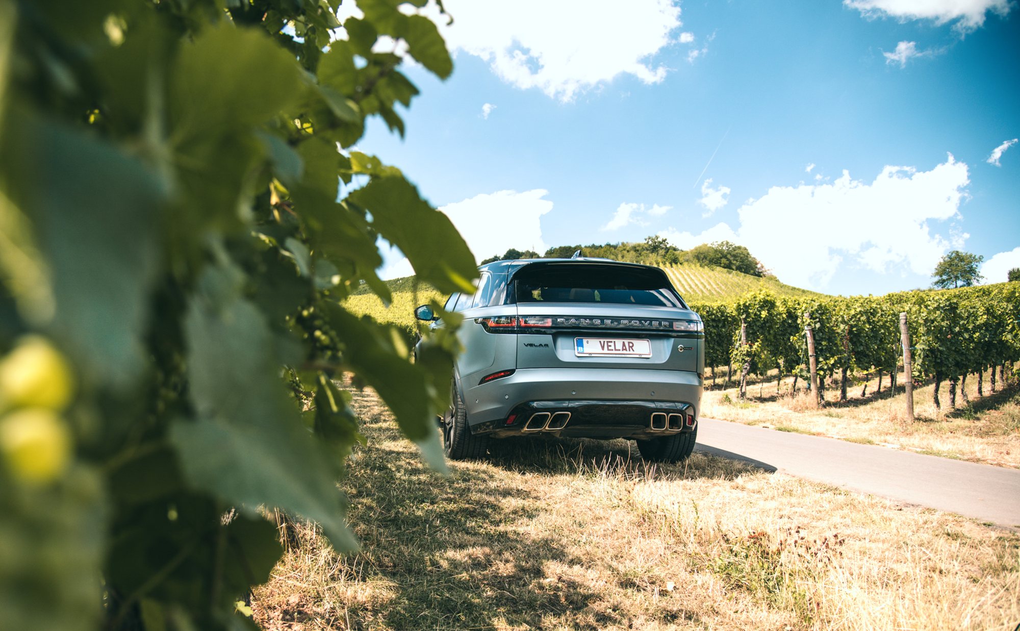 Range Rover Velar rear view through vineyard leaves